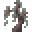 ペールオークの苗木