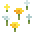 野花