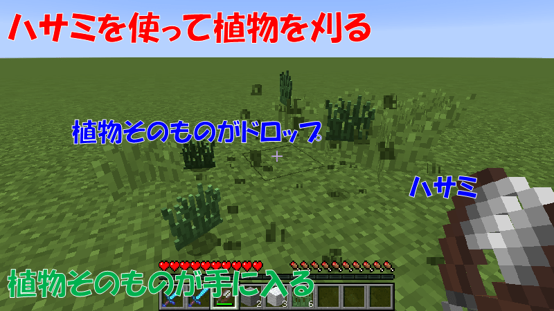 ハサミで植物を刈る