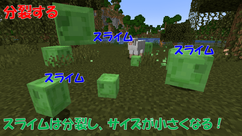 スライムの分裂