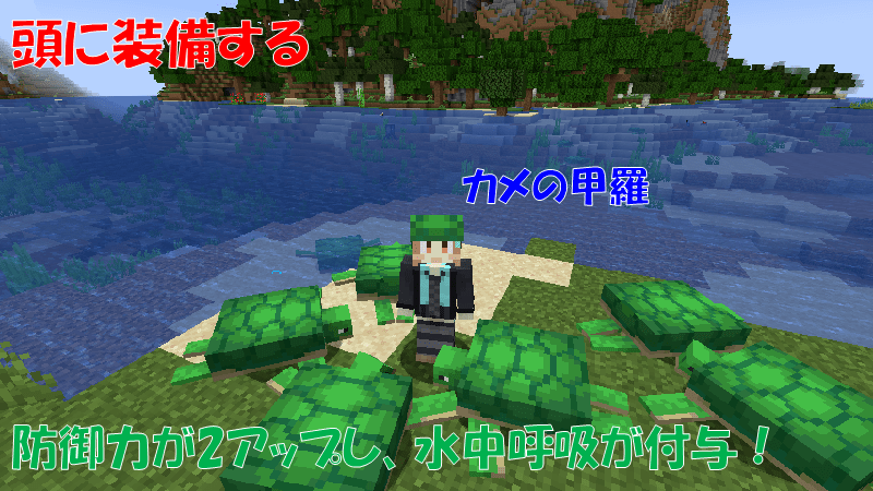 カメの甲羅を頭に装備する