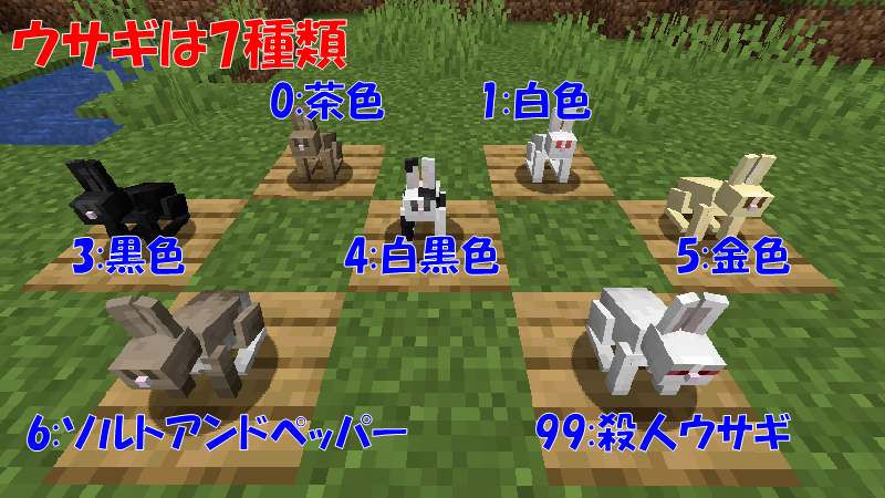 ウサギの種類