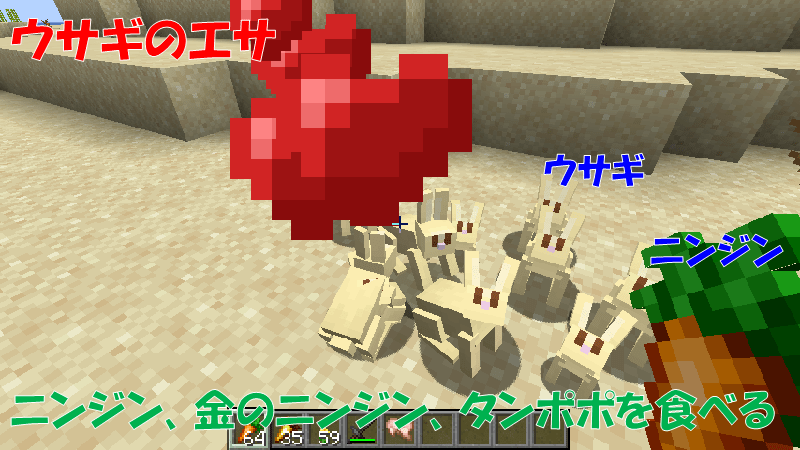 ウサギのエサ