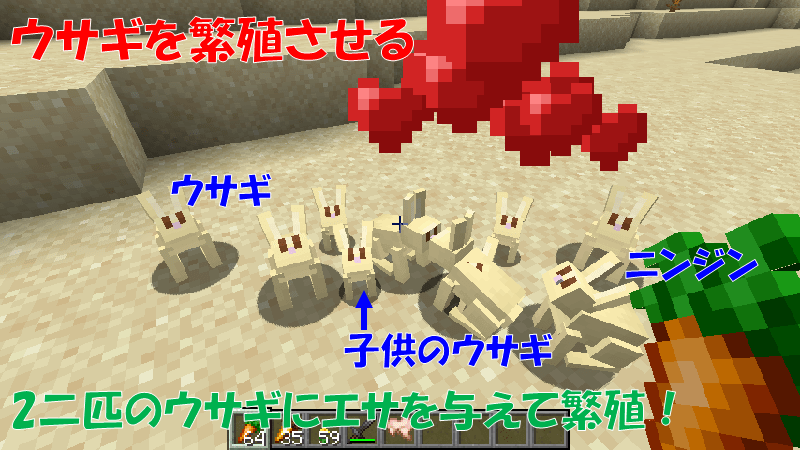 ウサギを繁殖