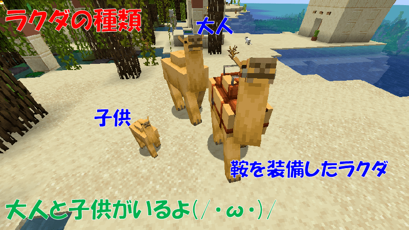 ラクダの種類