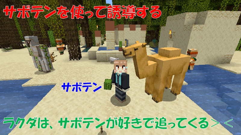 ラクダはサボテンで誘導する