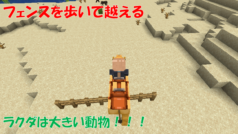 ラクダはフェンスを越える