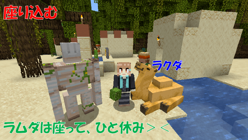 ラクダは座り込む