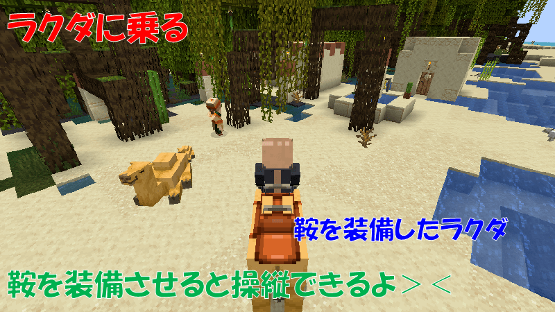 ラクダに乗る