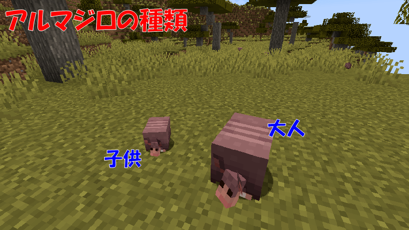 アルマジロの種類
