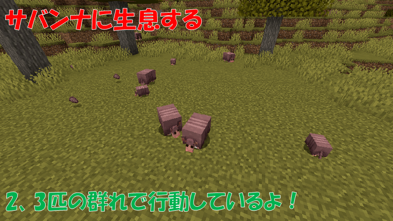 アルマジロはサバンナに生息する