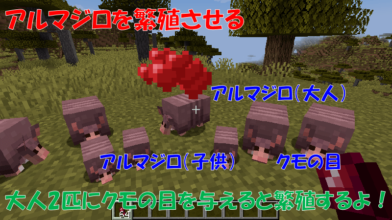 アルマジロを繁殖させる