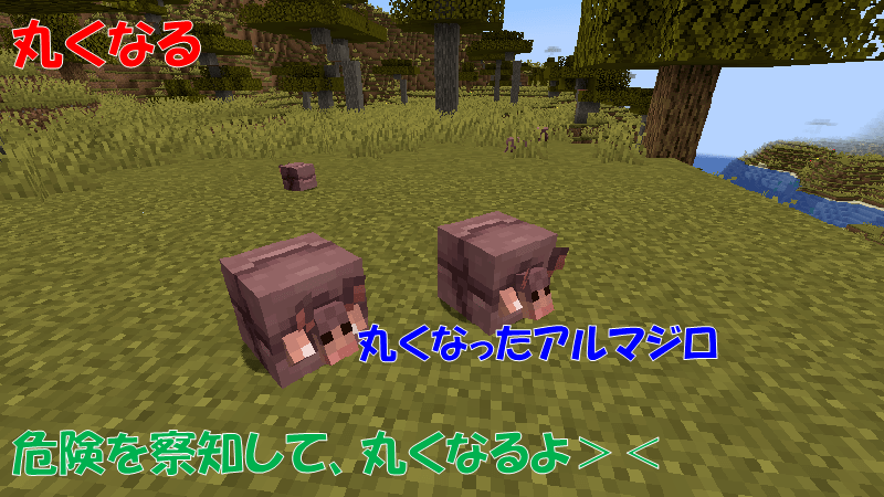 アルマジロは丸くなる