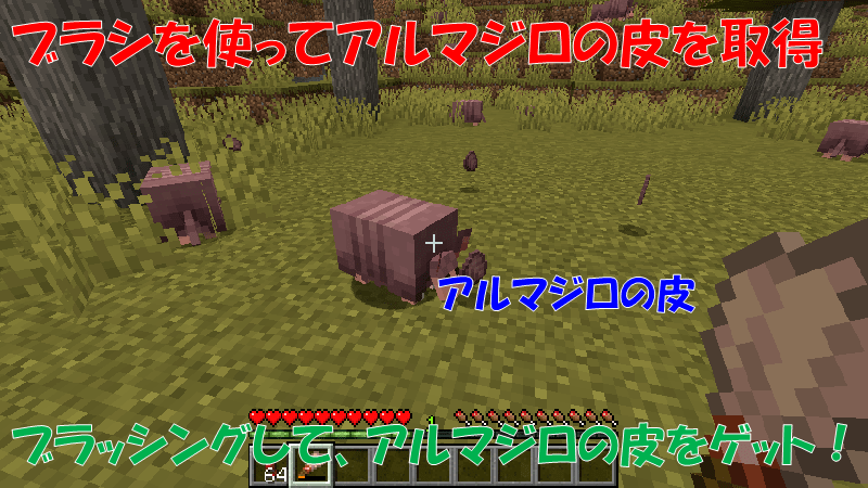 アルマジロをブラッシングしてアルマジロのウロコを取得する