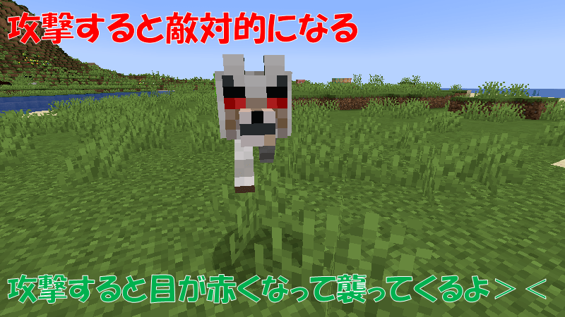 野生のオオカミに攻撃すると攻撃的になる