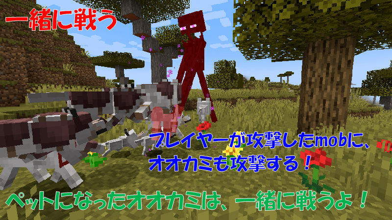 ペットのオオカミは一緒に戦う