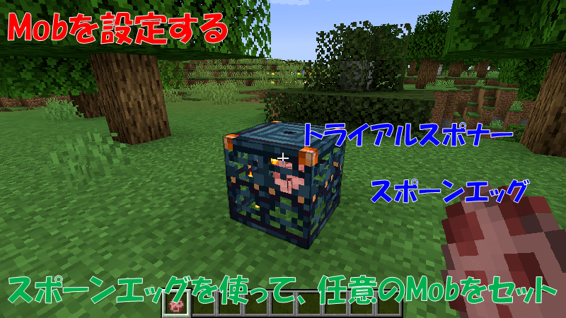トライアルスポナーの召喚対象のMobをセットする