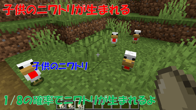 子供のニワトリが生まれる