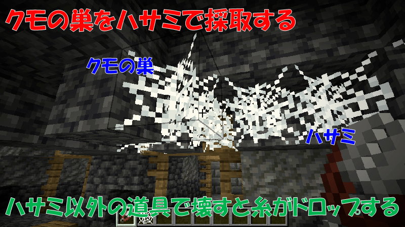 ハサミを使ってクモの巣を採取する