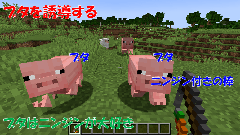 ニンジン付きの棒をブタを誘導する