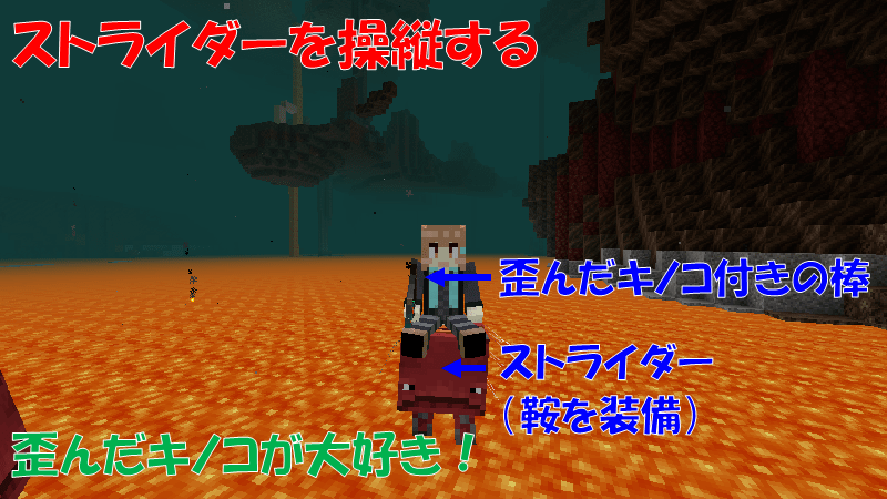 歪んだキノコ付きの棒を使ってストライダーを操縦する