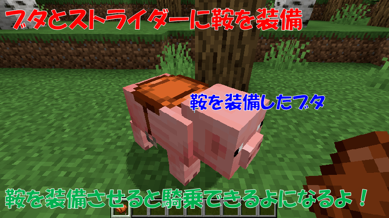ブタとストライダーが鞍を装備する