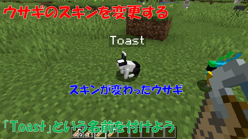 名札を使ってウサギのスキンを変更する