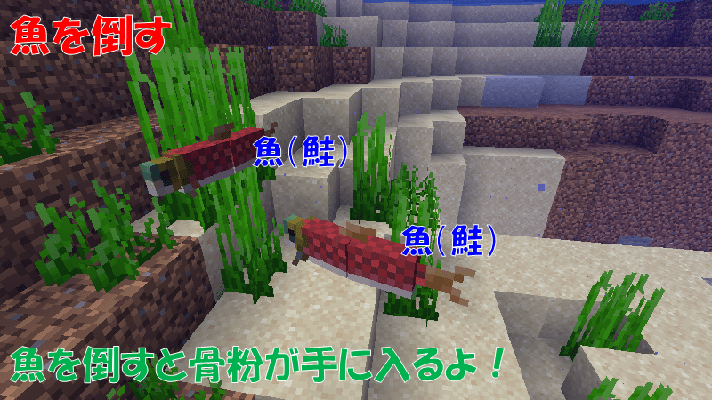 魚を倒して骨粉を手に入れる