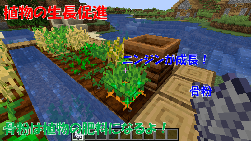骨粉を使って植物の成長促進