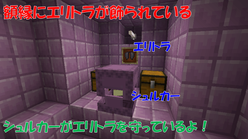 エンドシップの額縁にエリトラが飾られている