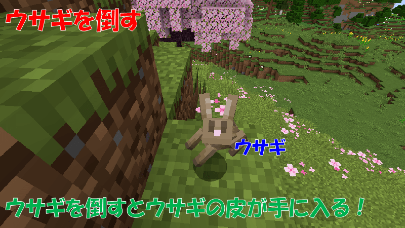 ウサギを倒すとウサギの皮が手に入る