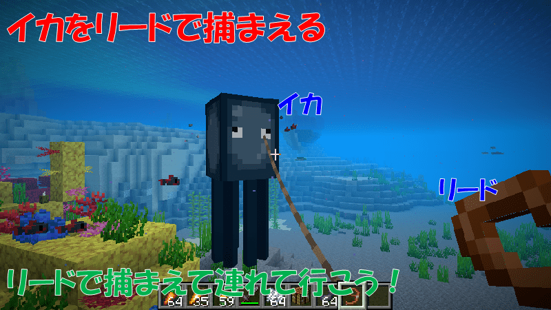 イカをリードで捕まえる