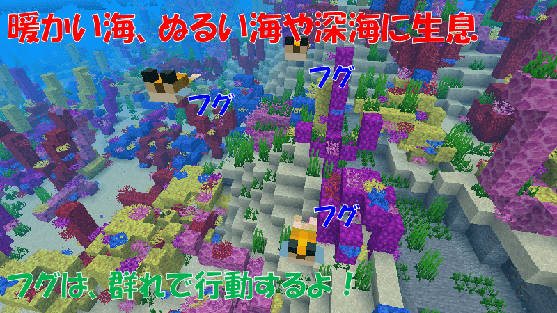 フグは暖かい海に生息