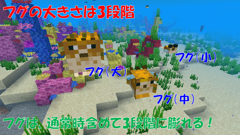 フグは3段階に膨れる