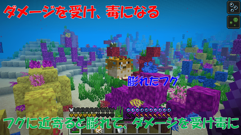 フグに近寄ると毒になる