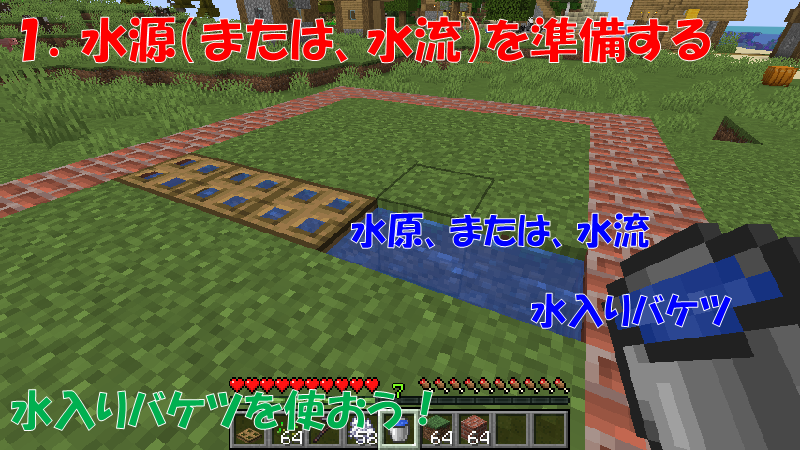 小麦を栽培する