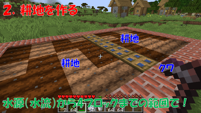 小麦を栽培する