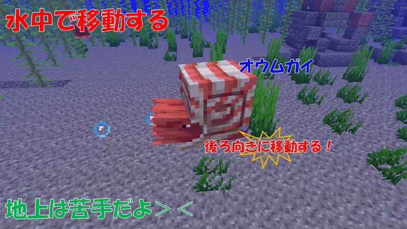 オウムガイは水中で移動