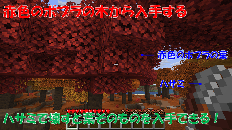 赤色のポプラの葉