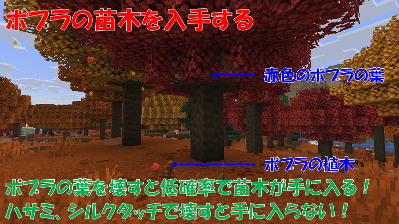赤色のポプラの葉
