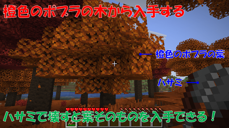 橙色のポプラの葉