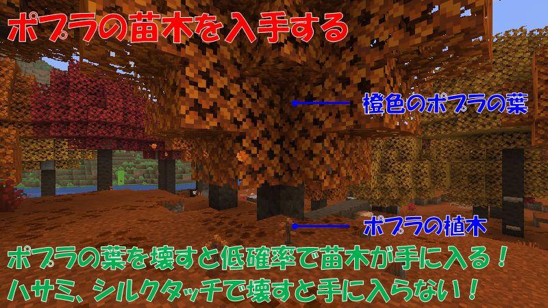 橙色のポプラの葉