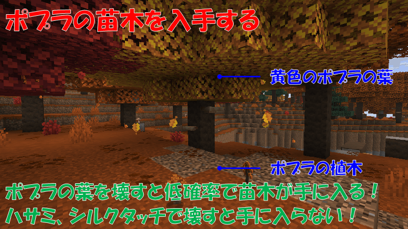 黄色のポプラの葉