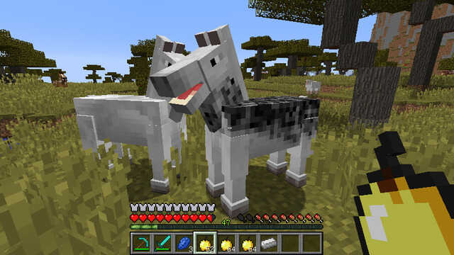 レベルと経験値