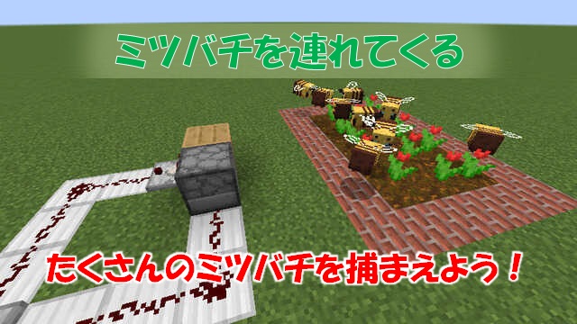 ハチミツ自動採取装置